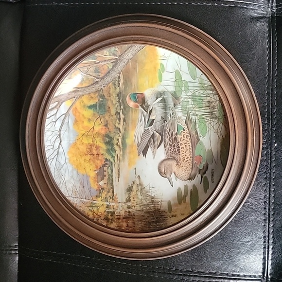 Vintage Edwin M Knowles 1987 The Green Winged Teal Collector Plate - Picture 3 of 4
